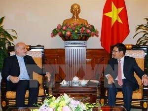 Vietnam, Iran to enhance friendship and multifaceted cooperation - ảnh 1